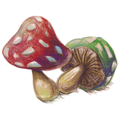 File:PMTOK pencil art mushrooms.png