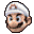 A stock icon from Super Smash Bros. Brawl