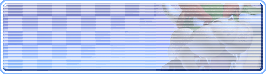 Bowser's background banner from Mario Kart Arcade GP 2
