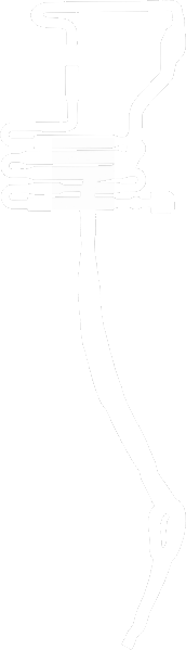 File:Koopa Troopa Beach - DK Spaceport pre v1.4.0.png