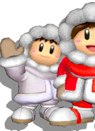 File:SSBM Icon fighter preview Ice Climbers c4.png
