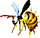 DKC2 GBA King Zing sprite.png