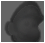Luigi (locked)