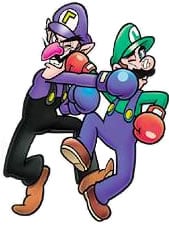 Game & Watch Gallery 4 artwork: Waluigi and Luigi