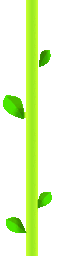 File:SMG Asset Texture Swing Rope.png
