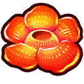 File:WWGIT Rafflesia.png