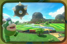 File:MKWorld Turnip Rally Peach Stadium Icon.png