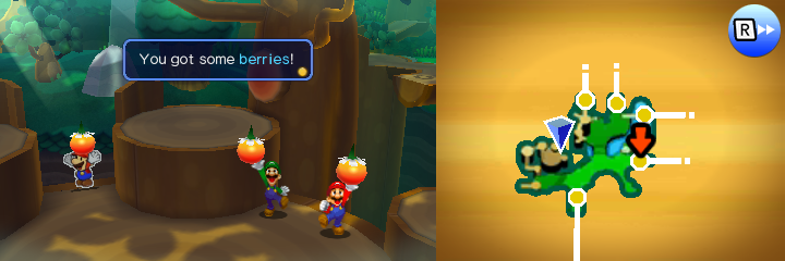 Group holding 3 Berries in Gloomy Woods of Mario & Luigi: Paper Jam.