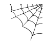 Spider web 2