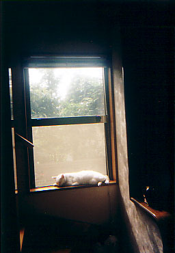 File:Kat to Ana no Midikana Ikimono part 1 picture 7.jpg