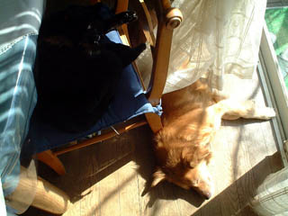 File:Kat to Ana no Midikana Ikimono part 3 picture 7.jpg