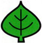 File:SMAS Super Leaf Inventory Art.png
