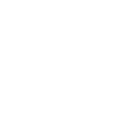 File:PPS Ensemble Swordfighter Icon.png