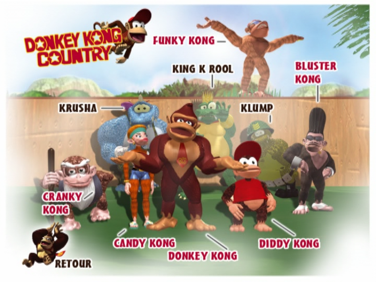 File:DKC LDKB Character profiles.png