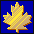 Golden Maple Leaf from City Hall