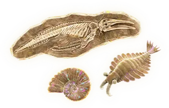 File:DKB Fossils.png