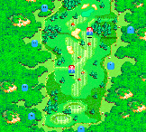 Hole 13 of the Star Marion Course from Mario Golf: Advance Tour