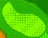 The green from Hole 10 of the Marion Club from the Game Boy Color Mario Golf