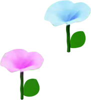 File:PMTOK Flower pair 2.png