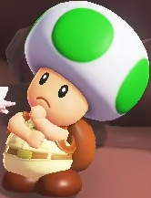 File:SMBW NS2E Brigade Green Toad.png