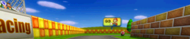 The course banner for N64 Mario Raceway from Mario Kart Wii.