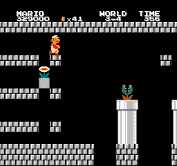 The Secret Levels of Super Mario Bros.