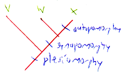 File:TraitExample.png