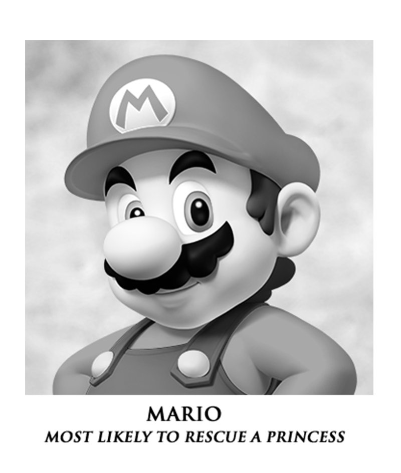 A Mushroom Kingdom Yearbook Super Mario Wiki, the Mario encyclopedia