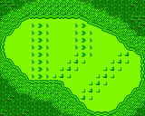 The green from Hole 5 of the Marion Club from the Game Boy Color Mario Golf