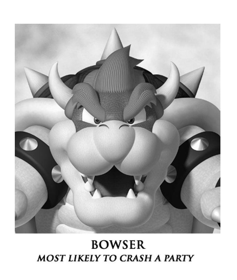 A Mushroom Kingdom Yearbook Super Mario Wiki, the Mario encyclopedia