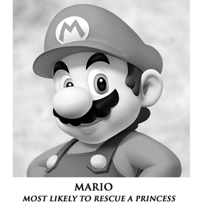 A Mushroom Kingdom Yearbook Super Mario Wiki, the Mario encyclopedia