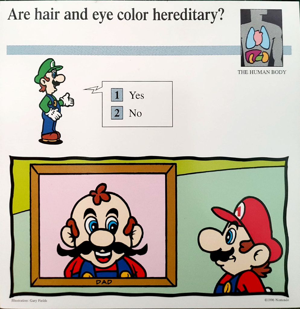 File:Mario's dad MQC.png - Super Mario Wiki, the Mario encyclopedia