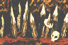 Tiles of a spike trap from Donkey Kong Country 2 for Game Boy Advance
