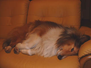 File:Kat to Ana no Midikana Ikimono part 2 picture 3.jpg