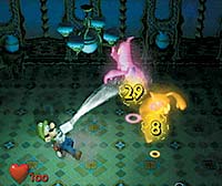 File:Gaya Mā-hakase ni Shitsumon! 4.jpg