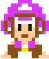 Purple Toad as seen in the end credits.
