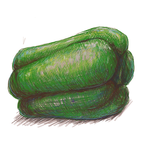 File:PMTOK pencil art pepper.png