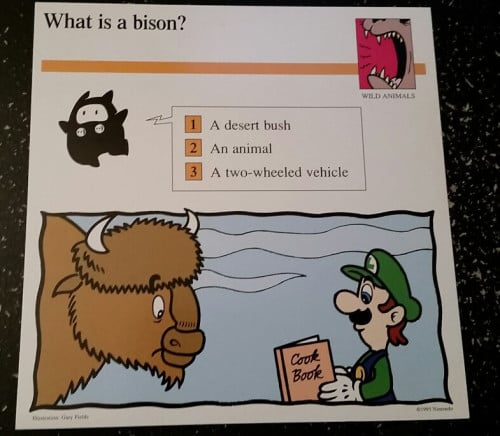 File:Bison quiz card.jpg