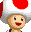 File:Toad MKDS record icon.png
