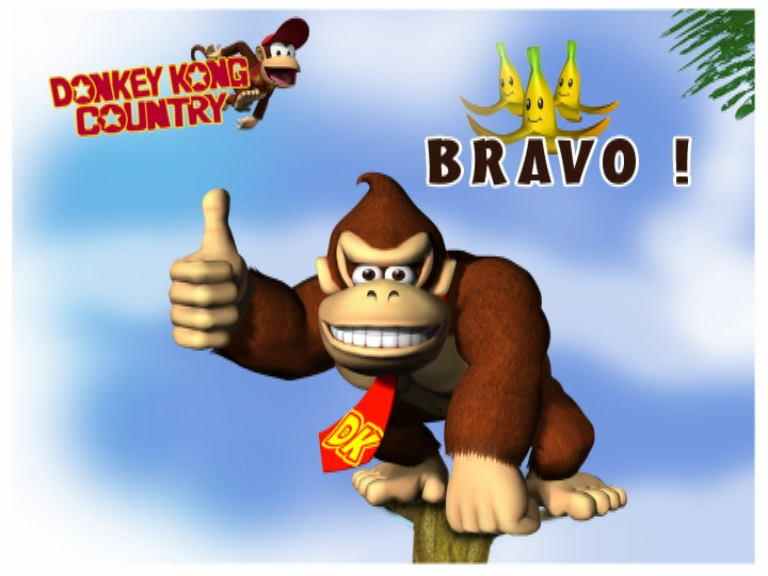File:DKC LDKB Correct answer.png