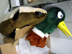 File:9-Volt no Nintendo Honsha Sen'nyū Report 9.jpg