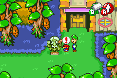 Hidden bean spot in Chucklehuck Woods, in Mario & Luigi: Superstar Saga.