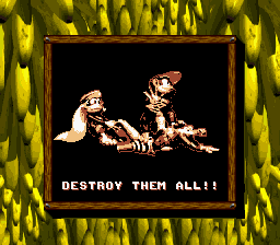 Destroy Them All! Bonus Area title card in Donkey Kong Land 2