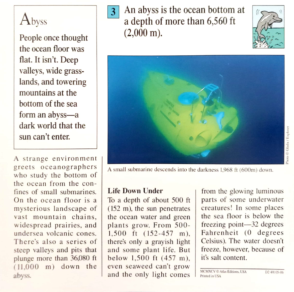 File Abyss Quiz Card Back Png Super Mario Wiki The Mario Encyclopedia