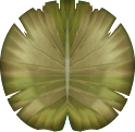 File:SMS Asset Sprite Lily Pad (Sick).png