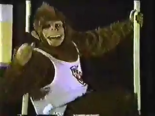 File:DKJ Commercial Donkey Kong Jr.png