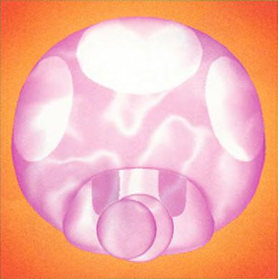 A Super Mini Mushroom from Mario Party 4