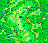 Hole 16 of the Star Marion Course from Mario Golf: Advance Tour