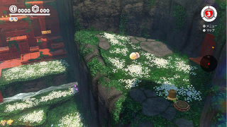 File:SMO Preupdate Wooded Kingdom Hint Art.png