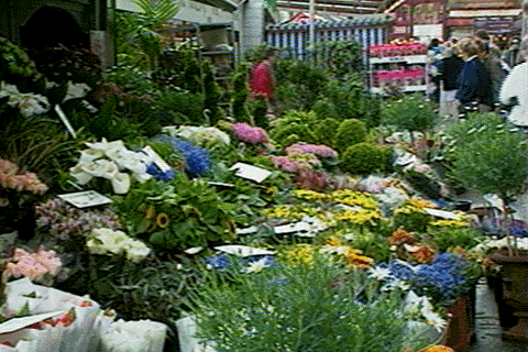 File:Aalsmeer Flower Market MIMCD.png